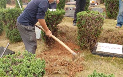 神速改運法一種生基 